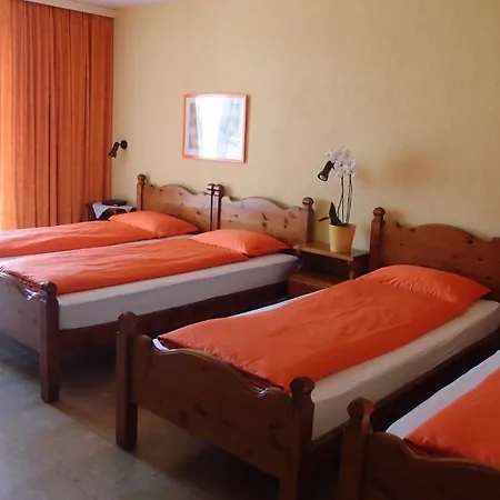 Hotel Elvetico 3*