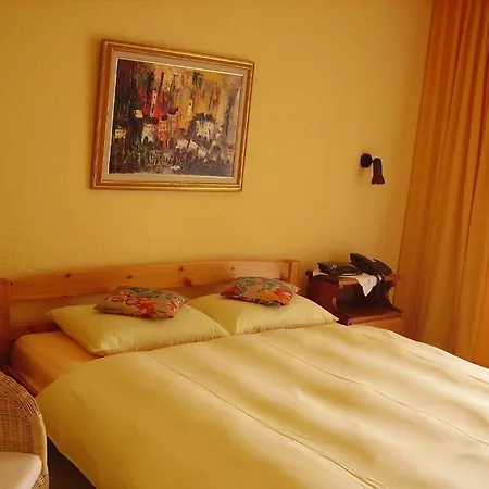 Hotel Elvetico 3*
