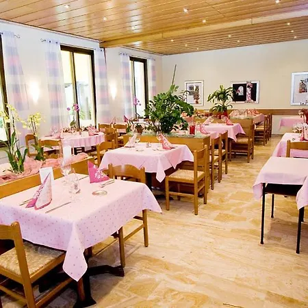 Elvetico 3* Locarno