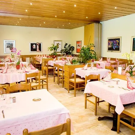 Elvetico Hotel Locarno