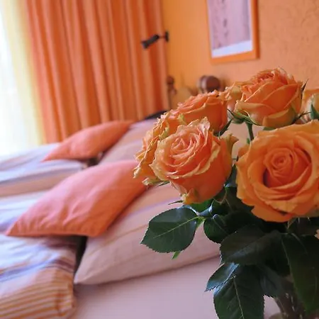 Hotel Elvetico